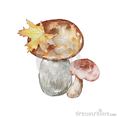 Watercolor autumn composition with mushrooms Stock Photo