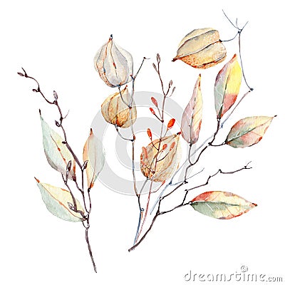 Watercolor autumn composition. Cartoon Illustration