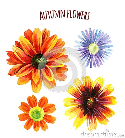Watercolor autumn flower set Cartoon Illustration
