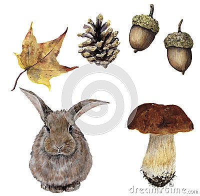 Watercolor autumn forest set. Hand painted pine cone, acorn, hare, mushroom and yellow leave isolated on white background. Botanic Cartoon Illustration