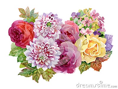 Watercolor autumn garden blooming flowers illustration on white background. Vector Illustration