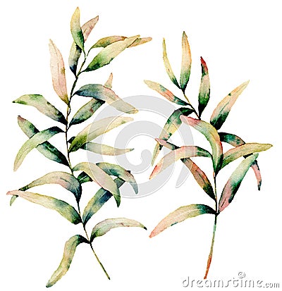 Watercolor autumn green and yellow grass set. Hand painted green and yellow branch of grass isolated on white background Cartoon Illustration