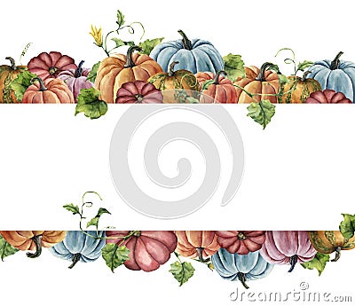 Watercolor autumn harvest card. Hand painted border with bright pumpkins with leaves and flowers isolated on white Cartoon Illustration