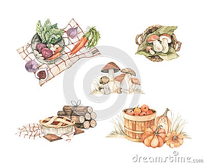 Watercolor Autumn harvest illustrations with pumpkins, mushrooms basket, vegetables, apple harvest and apple pie. Fall Cartoon Illustration