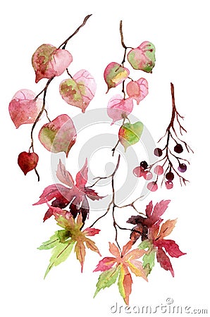 Watercolor autumn leaves, branches and berry. Cartoon Illustration