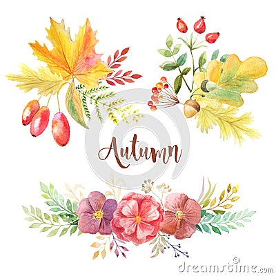 Watercolor autumn leaves, flowars and berries Stock Photo