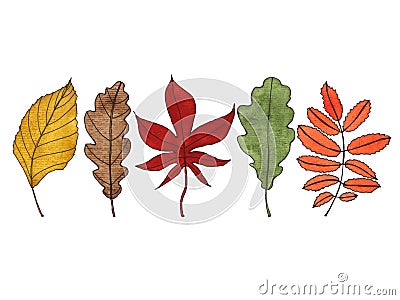 Watercolor autumn leaves Cartoon Illustration