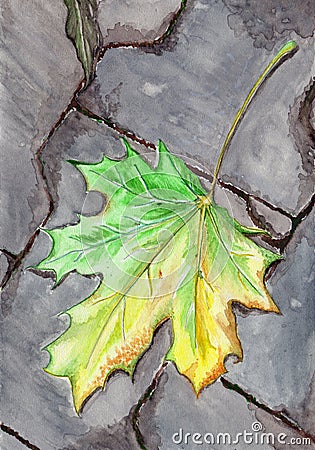 Watercolor autumn maple fallen leaf on asphalt Stock Photo