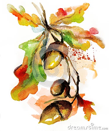 Watercolor autumn nature hand drawn acorn Stock Photo
