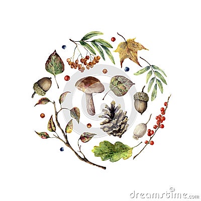 Watercolor autumn print. Hand painted mushroom, rowan, fall leaves, tree branch, pine cone, berry and acorn isolated on Cartoon Illustration