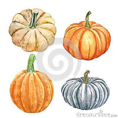 Watercolor autumn pumpkins and gourds set, isolated. fall seasonal vegetables, hand painted Cartoon Illustration