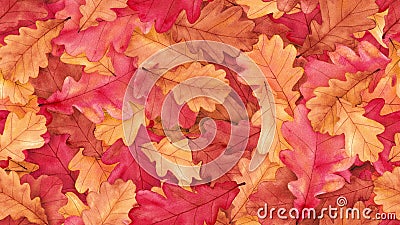 Watercolor autumn seamless background with oak leaves Cartoon Illustration