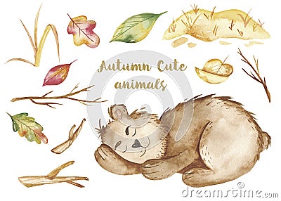Watercolor autumn set, card with a cute cartoon sleeping bear, a barrel of honey, wood. Stock Photo