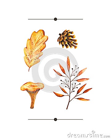 Watercolor autumn set of with watercolor sprigs, leaves, pine cone, mushroom. Illustration isolated on white. Hand drawn items Stock Photo