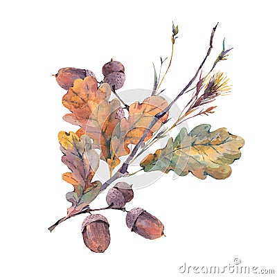 Watercolor autumn vintage bouquet Cartoon Illustration