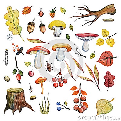 Watercolor autumn wood set Cartoon Illustration