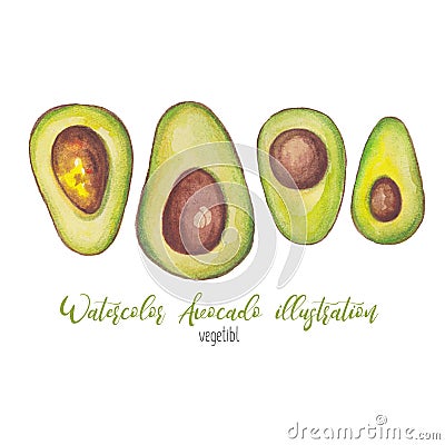 Watercolor avocado illustration for notebook, cover, book, stickers, banner, logo, card Cartoon Illustration