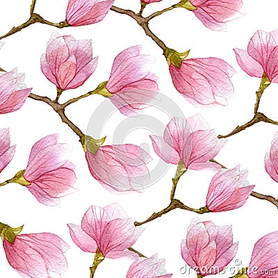 Watercolor background with blossom magnolia branches. spring design. Stock Photo