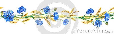 Watercolor banner with cornflowers,ears of ripe wheat. Beautiful bright border with bouquet of blue flowers. Cartoon Illustration