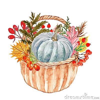 Watercolor autumn plants and leaves in basket. Colorful orange, yellow and red forest tree leaf with red berries Cartoon Illustration