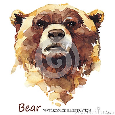 Watercolor bear on the white background. Forest animal. Cartoon Illustration