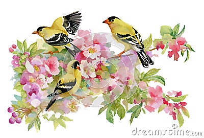 Watercolor beautiful birds sitting on blooming branches. Vector Illustration