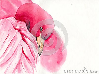 Watercolor beautiful flamingo with bright pink feathers Stock Photo