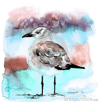 Watercolor beautiful seagull Hand drawn illustration Cartoon Illustration