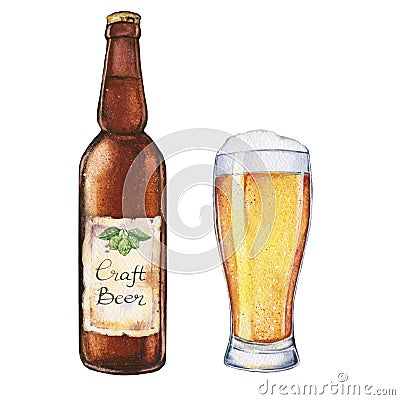 Watercolor beer glass and bottle Cartoon Illustration