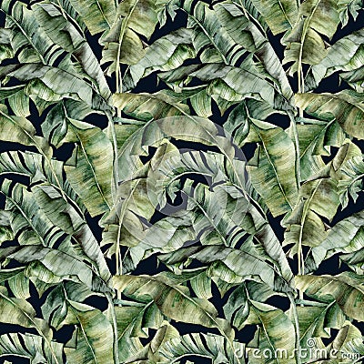 Watercolor big seamless pattern with tropical banana leaves. Hand painted exotic leaves and branches isolated on black Cartoon Illustration