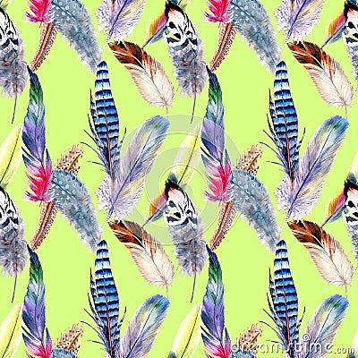 Watercolor bird feather pattern from wing. Stock Photo