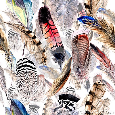 Watercolor bird feather pattern from wing. Stock Photo