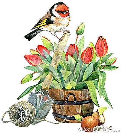 Watercolor Bird and Garden flowers background. Cartoon Illustration