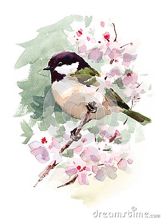 Watercolor Bird Tit Chickadee On Cherry Blossoms Branch Hand Painted Summer Spring Illustration Cartoon Illustration