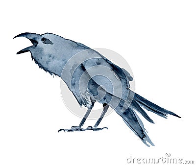 Watercolor black crow, raven, bird, Halloween hand drawn illustration Cartoon Illustration
