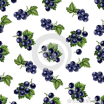 Watercolor black currants seamless pattern. Stock Photo