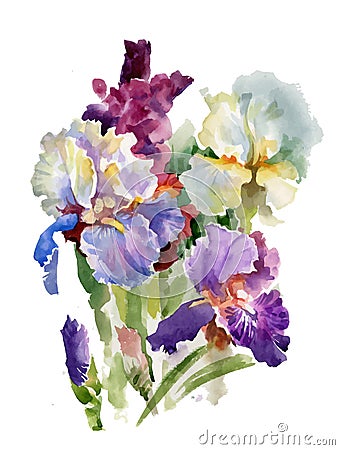 Watercolor blooming iris flowers Vector Illustration