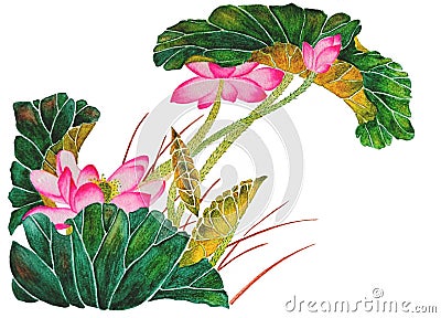 Watercolor with blooming pink lotuses Stock Photo