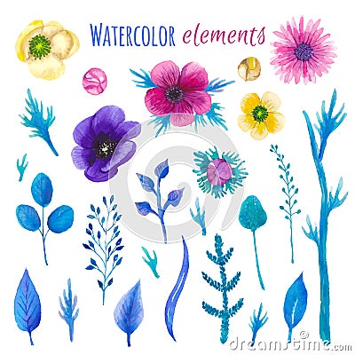Watercolor blossom floral set Vector Illustration