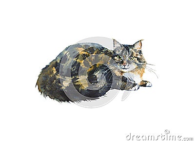 Watercolor blotched tabby cat Cartoon Illustration
