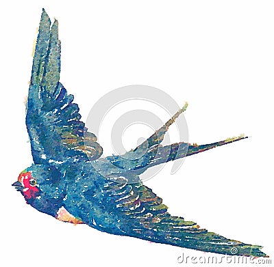 Watercolor blue bird illustration on white background Cartoon Illustration