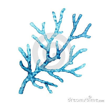 Watercolor blue coral. Transparent sea plant isolated on white. Realistic scientific illustration. Hand painted Cartoon Illustration