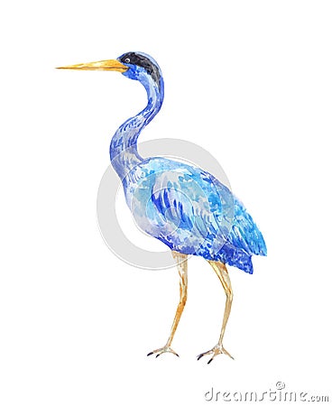 Watercolor blue heron. Illustration of a standing bird Stock Photo