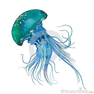 Watercolor Blue jellyfish Cartoon Illustration