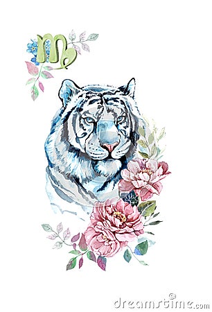 Watercolor blue tiger with flowers. Zodiac sign Virgo. Cartoon Illustration