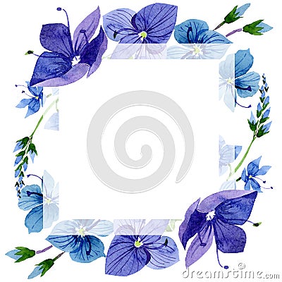 Watercolor blue Veronica flower. Floral botanical flower. Frame border ornament square. Stock Photo