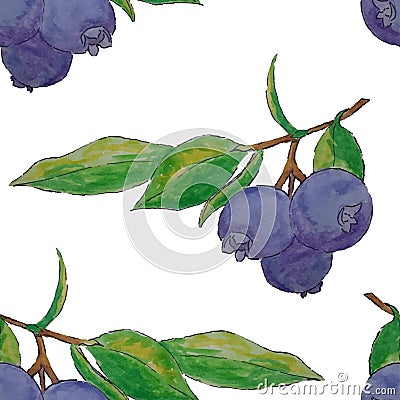 Watercolor blueberries seamless pattern Vector Illustration