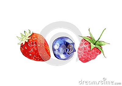 Watercolor blueberries, strawberry and raspberry on white background Cartoon Illustration