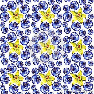 Watercolor blueberries and vanila pattern, background Cartoon Illustration