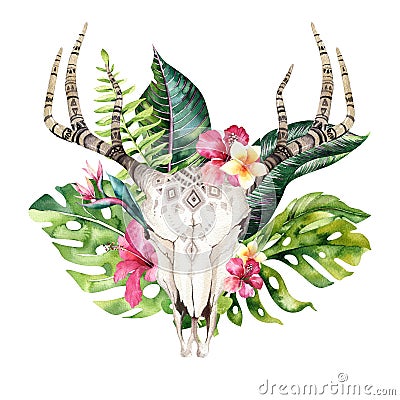 Watercolor bohemian cow skull and tropic palm leaves. Western deer mammals. Tropical deer boho decoration print antlers Stock Photo